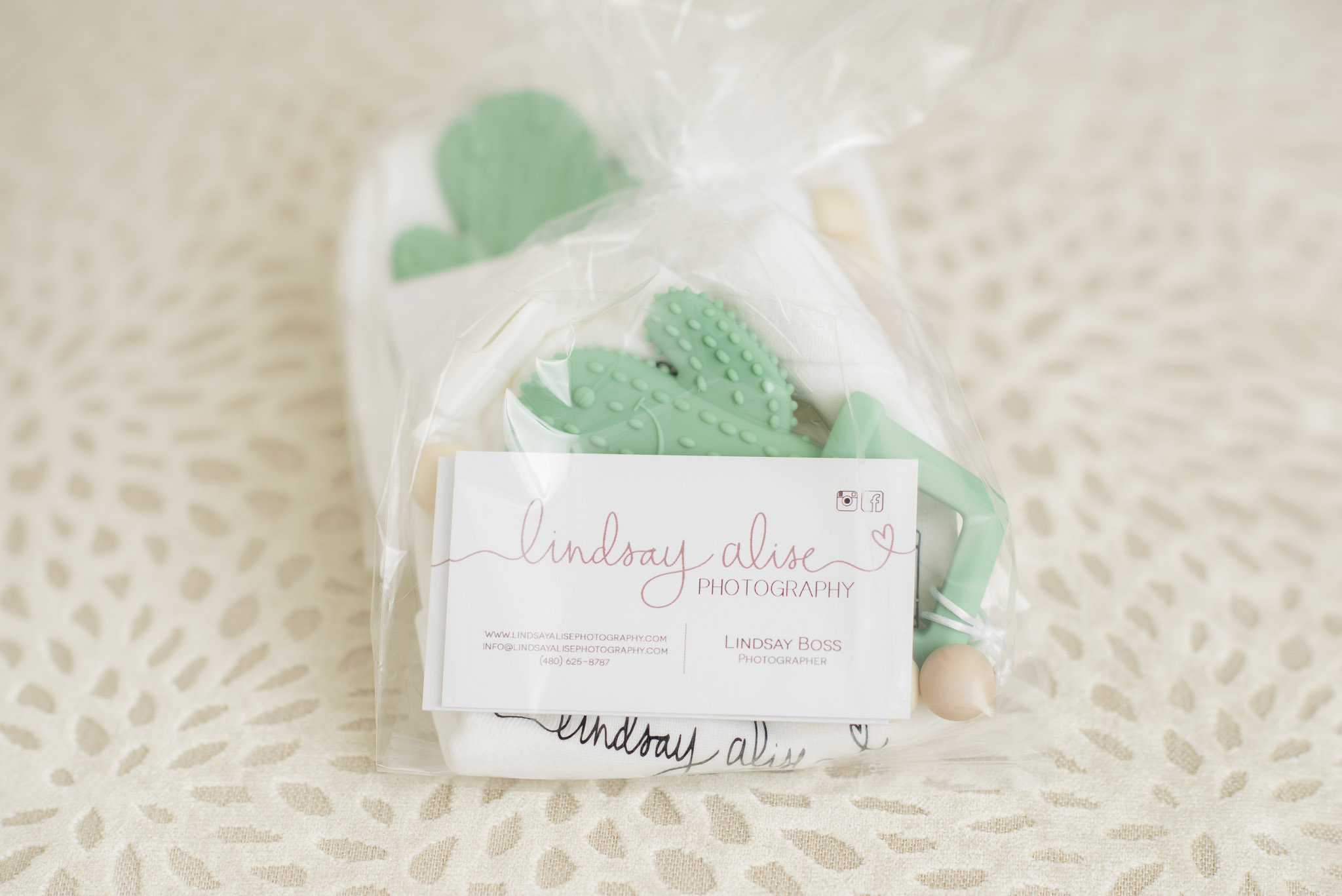 Lindsay alise photography newborn gift package